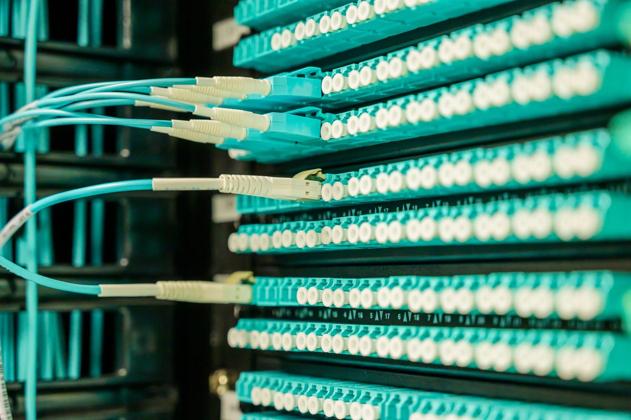 Conectores de fibra óptica color aguamarina en un panel de parcheo de un rack