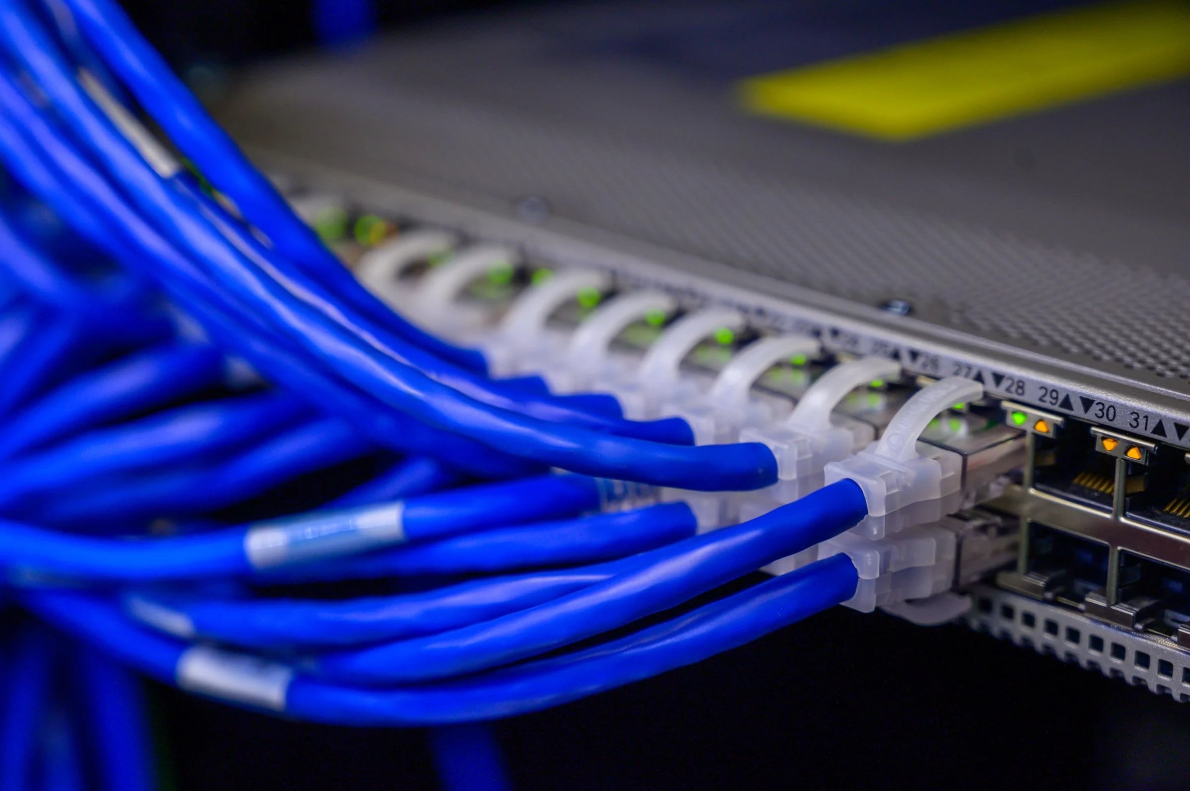Latiguillos de red azules, etiquetados y ordenados, conectados a los puertos de un switch