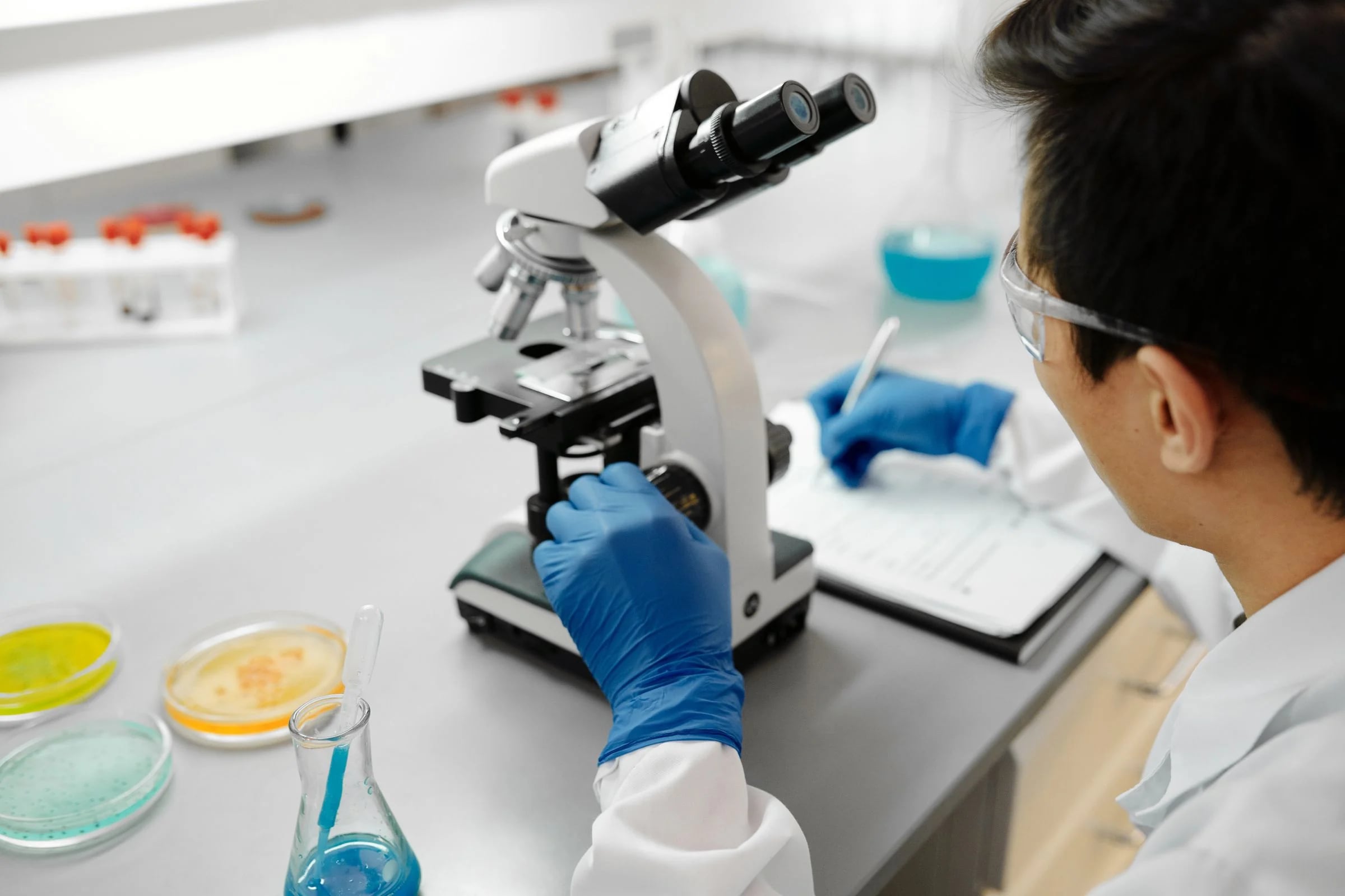 Investigador con gafas y guantes observa muestras al microscopio junto a placas de Petri