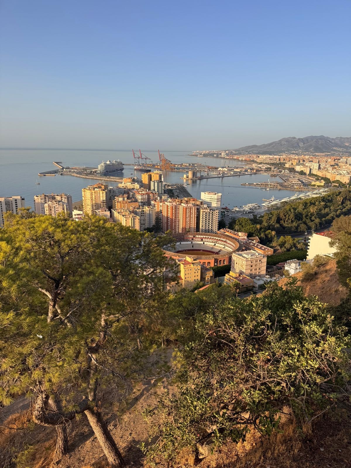 La plaza de toros de La Malagueta, el puerto y la ciudad de Málaga desde la ladera de Gibralfaro, entre pinos