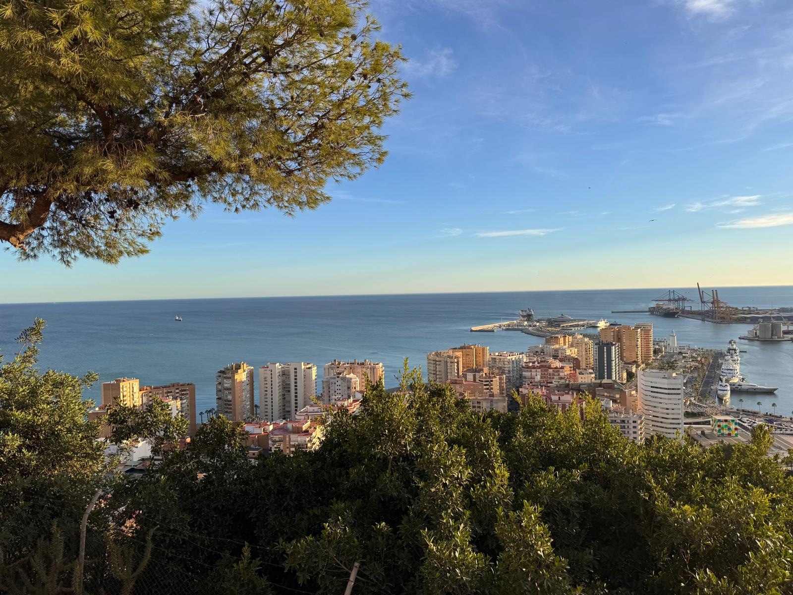 Los edificios de La Malagueta y el puerto de Málaga frente al Mediterráneo, entre los pinos de Gibralfaro