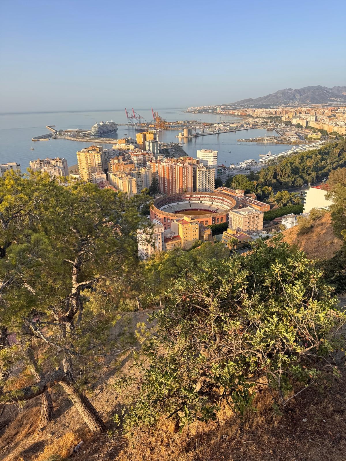 El puerto de Málaga con un crucero atracado, la plaza de toros y La Malagueta desde los pinos de Gibralfaro